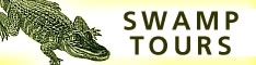 swamp tour