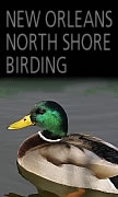 NEW ORLEANS NORTH SHORE BIRD WATCHING