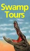 swamp tours
